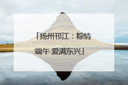 扬州邗江：粽情端午 爱满东兴