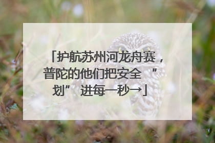 护航苏州河龙舟赛，普陀的他们把安全 “划” 进每一秒→