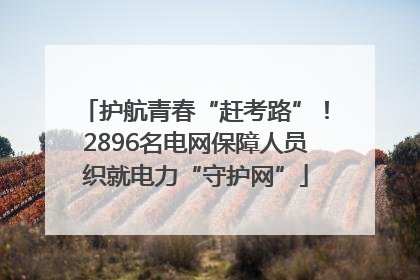 护航青春“赶考路”！2896名电网保障人员织就电力“守护网”