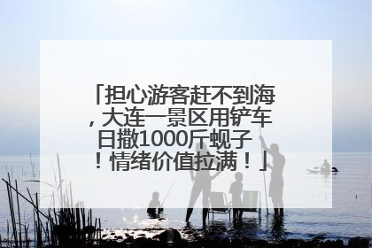 担心游客赶不到海，大连一景区用铲车日撒1000斤蚬子！情绪价值拉满！