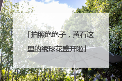 拍照绝绝子，黄石这里的绣球花盛开啦