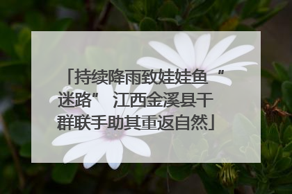 持续降雨致娃娃鱼“迷路” 江西金溪县干群联手助其重返自然
