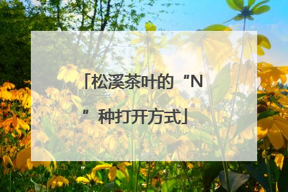 松溪茶叶的“N”种打开方式