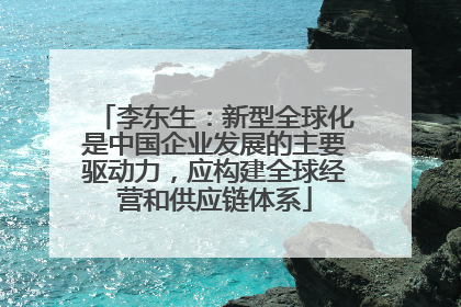 李东生：新型全球化是中国企业发展的主要驱动力，应构建全球经营和供应链体系