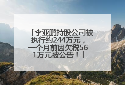 李亚鹏持股公司被执行约244万元，一个月前因欠税561万元被公告！