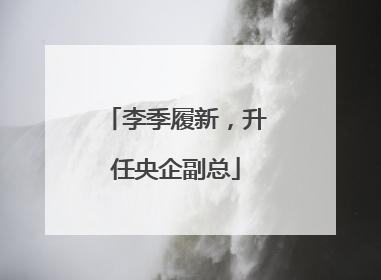 李季履新，升任央企副总