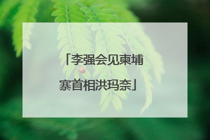 李强会见柬埔寨首相洪玛奈