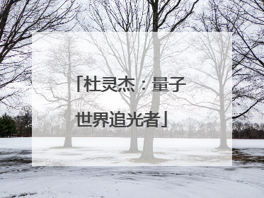 杜灵杰：量子世界追光者