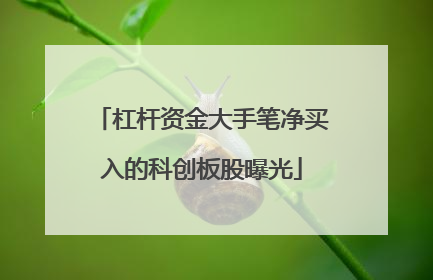 杠杆资金大手笔净买入的科创板股曝光