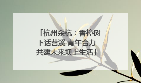 杭州余杭：香樟树下话苕溪 青年合力共建未来坝上生活