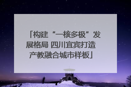 构建“一核多极”发展格局 四川宜宾打造产教融合城市样板