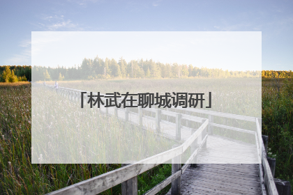 林武在聊城调研