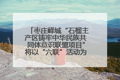枣庄峄城“石榴主产区铸牢中华民族共同体意识联盟项目”将以“六联”活动为抓手深化品牌建设