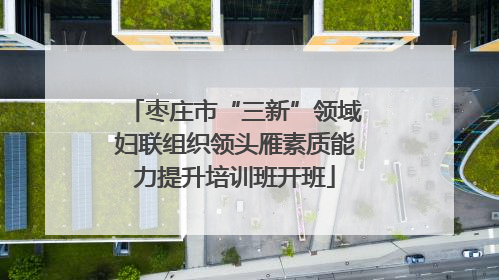 枣庄市“三新”领域妇联组织领头雁素质能力提升培训班开班