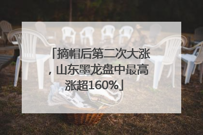 摘帽后第二次大涨，山东墨龙盘中最高涨超160%