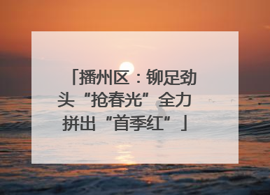 播州区：铆足劲头“抢春光”全力拼出“首季红”