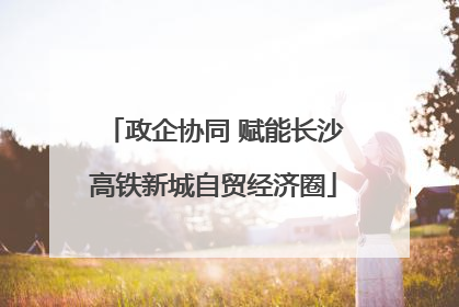 政企协同 赋能长沙高铁新城自贸经济圈