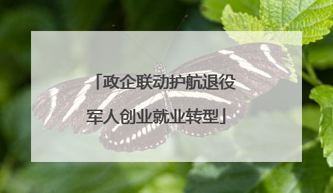 政企联动护航退役军人创业就业转型