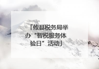 攸县税务局举办“智税服务体验日”活动