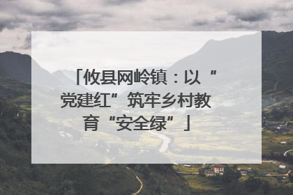攸县网岭镇：以“党建红”筑牢乡村教育“安全绿”