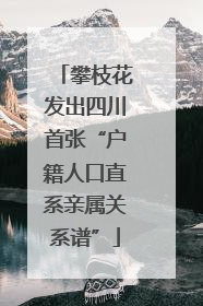 攀枝花发出四川首张“户籍人口直系亲属关系谱”