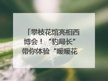 攀枝花馆亮相西博会！“豹局长”带你体验“暖暖花城”独特魅力｜西博视界