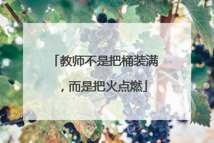 教师不是把桶装满，而是把火点燃