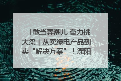 敢当弄潮儿 奋力挑大梁｜从卖绿电产品到卖“解决方案”！溧阳立足产业优势建成五大微电网示范项目