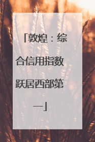 敦煌：综合信用指数跃居西部第一