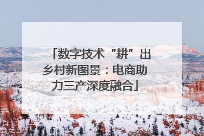 数字技术“耕”出乡村新图景：电商助力三产深度融合