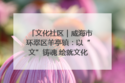 文化社区｜威海市环翠区羊亭镇：以“文”铸魂 绘就文化社区新画卷