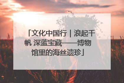 文化中国行｜浪起千帆 深蓝宝藏——博物馆里的海丝遗珍