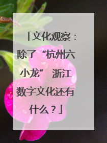 文化观察：除了“杭州六小龙” 浙江数字文化还有什么？