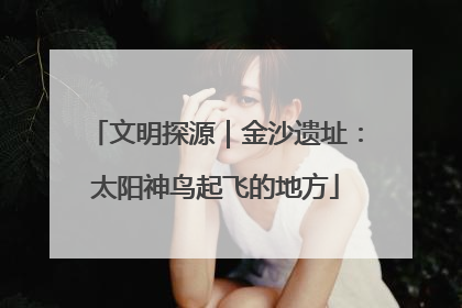 文明探源｜金沙遗址：太阳神鸟起飞的地方