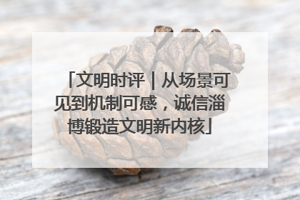 文明时评｜从场景可见到机制可感，诚信淄博锻造文明新内核