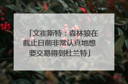文霍斯特：森林狼在截止日前非常认真地想要交易得到杜兰特