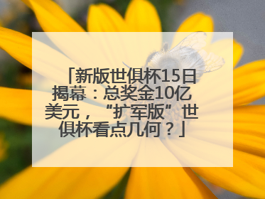新版世俱杯15日揭幕：总奖金10亿美元，“扩军版”世俱杯看点几何？