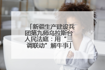 新疆生产建设兵团第九师乌拉斯台人民法庭：用“三调联动”解牛事