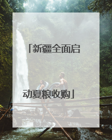 新疆全面启动夏粮收购