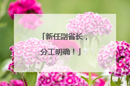 新任副省长，分工明确！