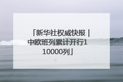 新华社权威快报｜中欧班列累计开行110000列