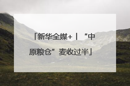新华全媒+丨“中原粮仓”麦收过半