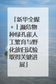 新华全媒+丨濒危物种绿孔雀人工繁育与野化放归试验取得关键进展