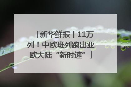 新华鲜报丨11万列！中欧班列跑出亚欧大陆“新时速”
