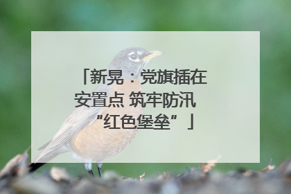 新晃：党旗插在安置点 筑牢防汛“红色堡垒”