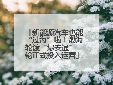 新能源汽车也能“过海”啦！渤海轮渡“绿安通” 轮正式投入运营
