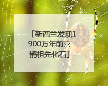新西兰发现1900万年前喜鹊祖先化石