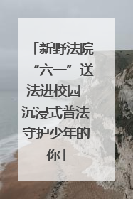 新野法院“六一”送法进校园 沉浸式普法守护少年的你