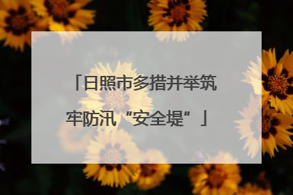 日照市多措并举筑牢防汛“安全堤”