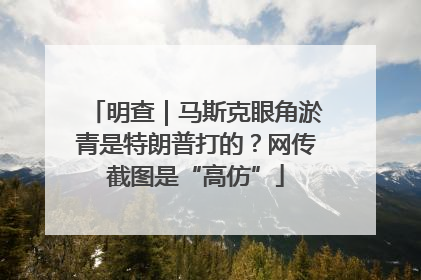 明查｜马斯克眼角淤青是特朗普打的？网传截图是“高仿”